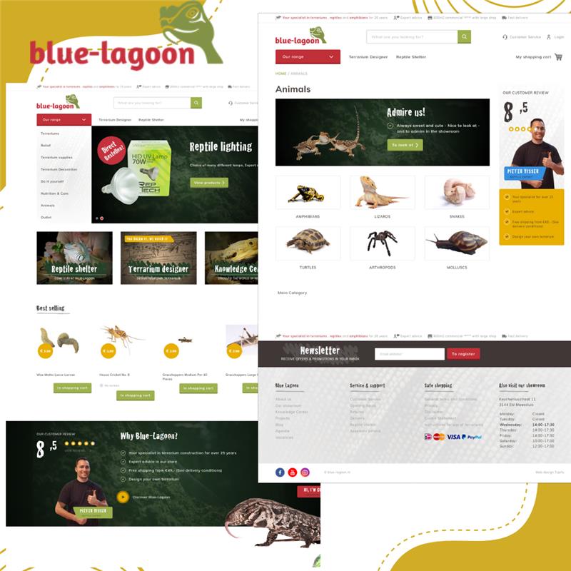 Reptile and Terrarium Specialist