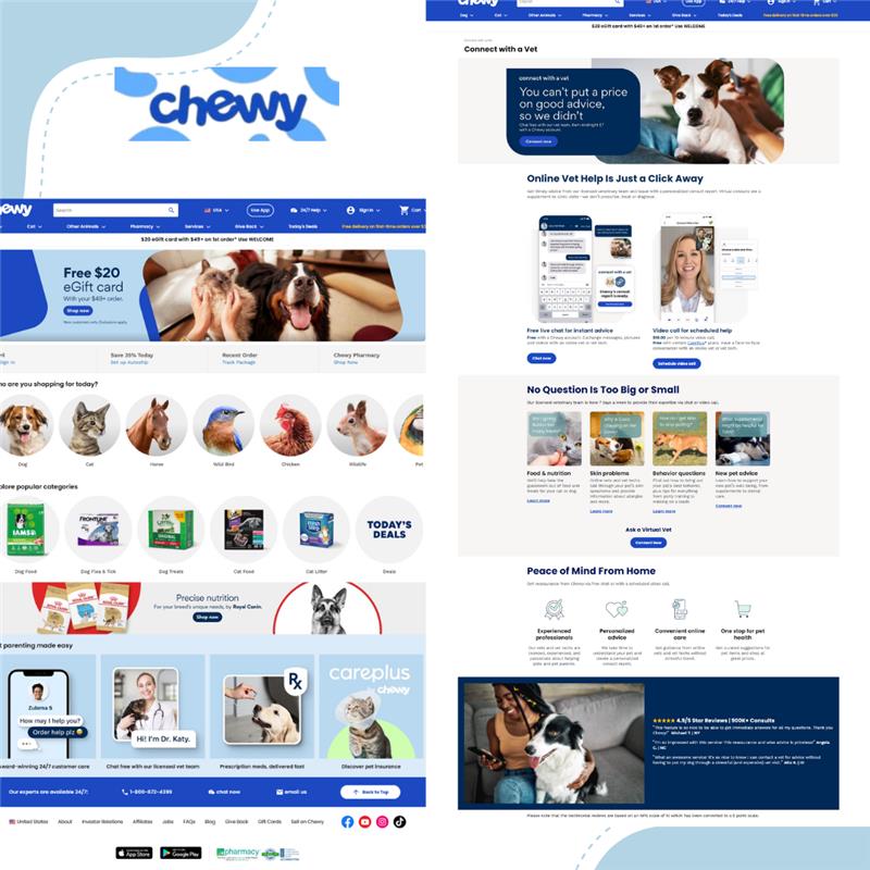 Online Pet Retail Business
